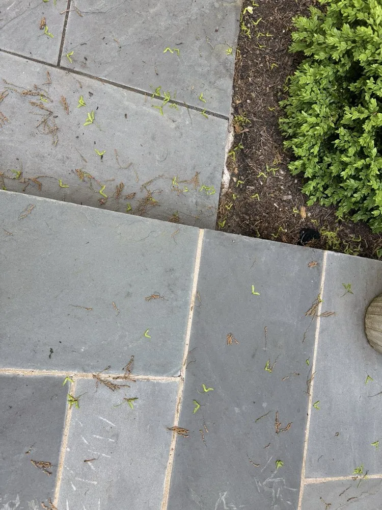 Professional landscape design for year-round maintenance in Skokie, IL by Green Concepts