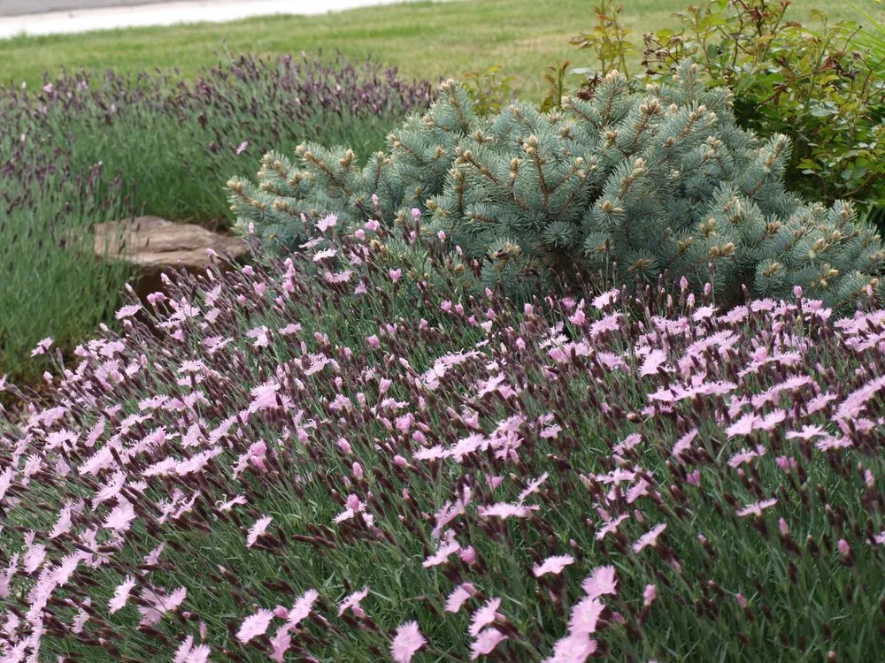 Expert yard cleanup service near you in Victor, MT by Green Concepts