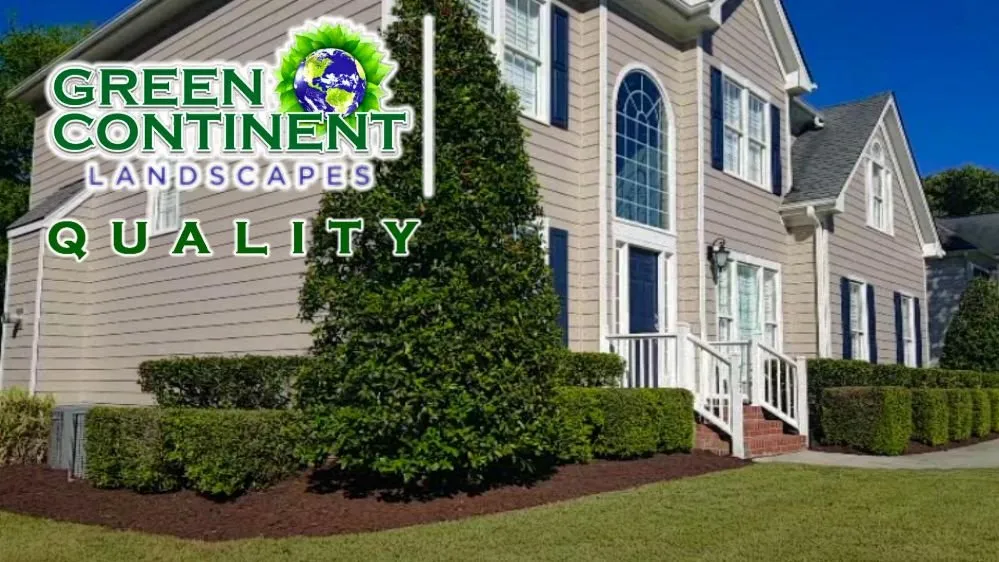 Trusted yard cleanup service for year-round maintenance across Castle Hayne, NC - Green Continent Landscapes