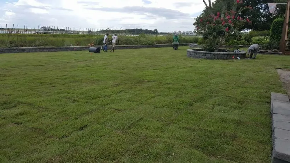 Custom yard cleanup service for year-round maintenance in Castle Hayne, NC by Green Continent Landscapes