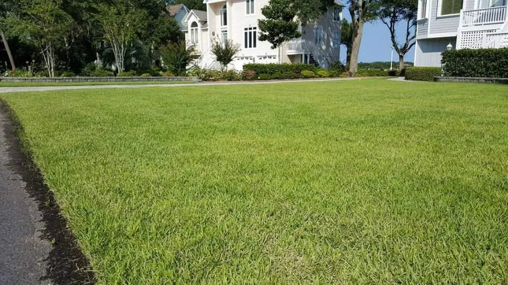 Top-rated yard cleanup service near you in Castle Hayne, NC by Green Continent Landscapes