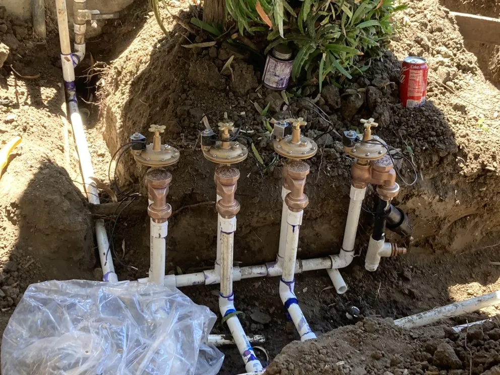 Professional lawn care service experts serving Inglewood, CA - Green Control Landscape & Tree Service