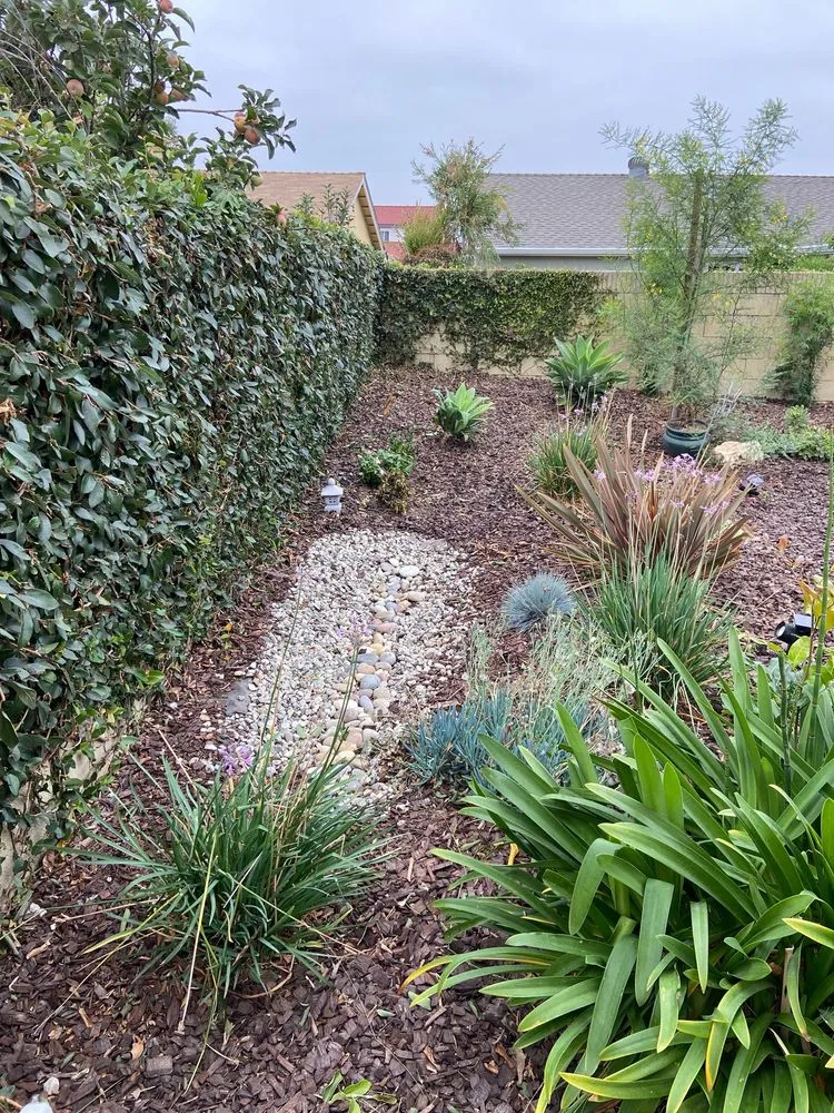 Trusted landscape installation near you in Inglewood, CA by Green Control Landscape & Tree Service