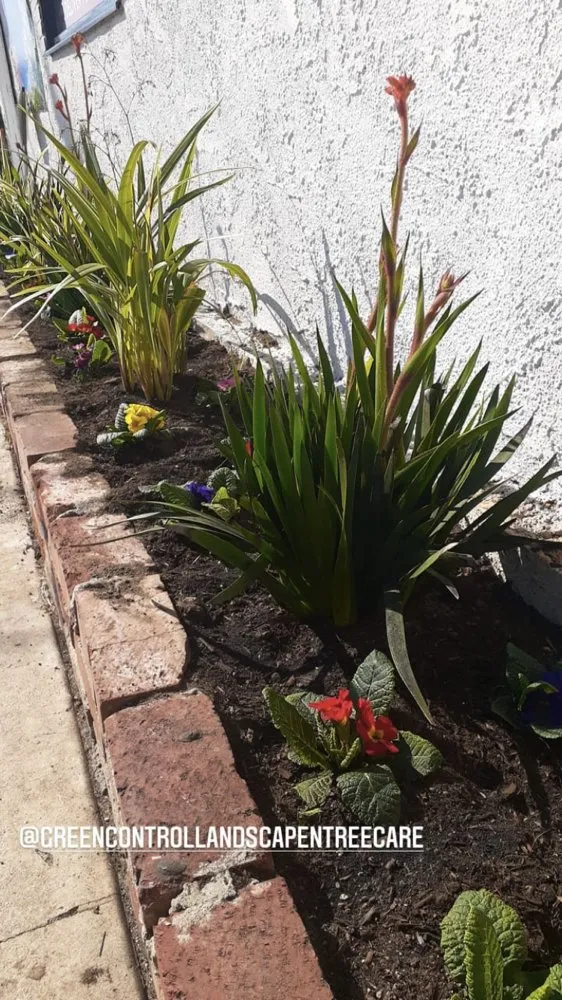 Expert garden landscaping for year-round maintenance in Inglewood, CA by Green Control Landscape & Tree Service