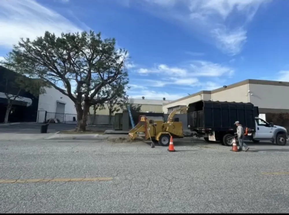 Custom landscaping services near you across Inglewood, CA - Green Control Landscape & Tree Service