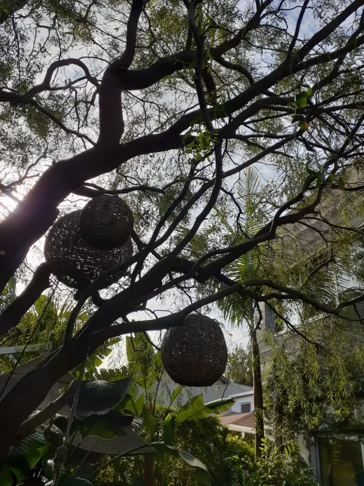 Expert outdoor landscaping with custom design in Inglewood, CA by Green Control Landscape & Tree Service