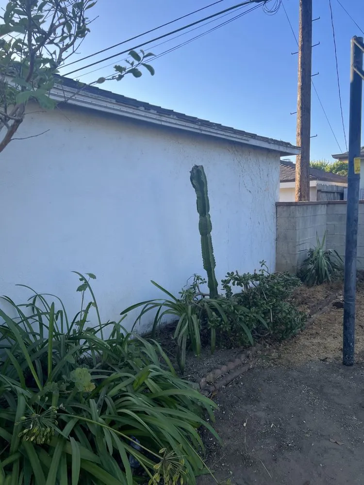 Trusted landscape installation for outdoor upgrades across Inglewood, CA - Green Control Landscape & Tree Service