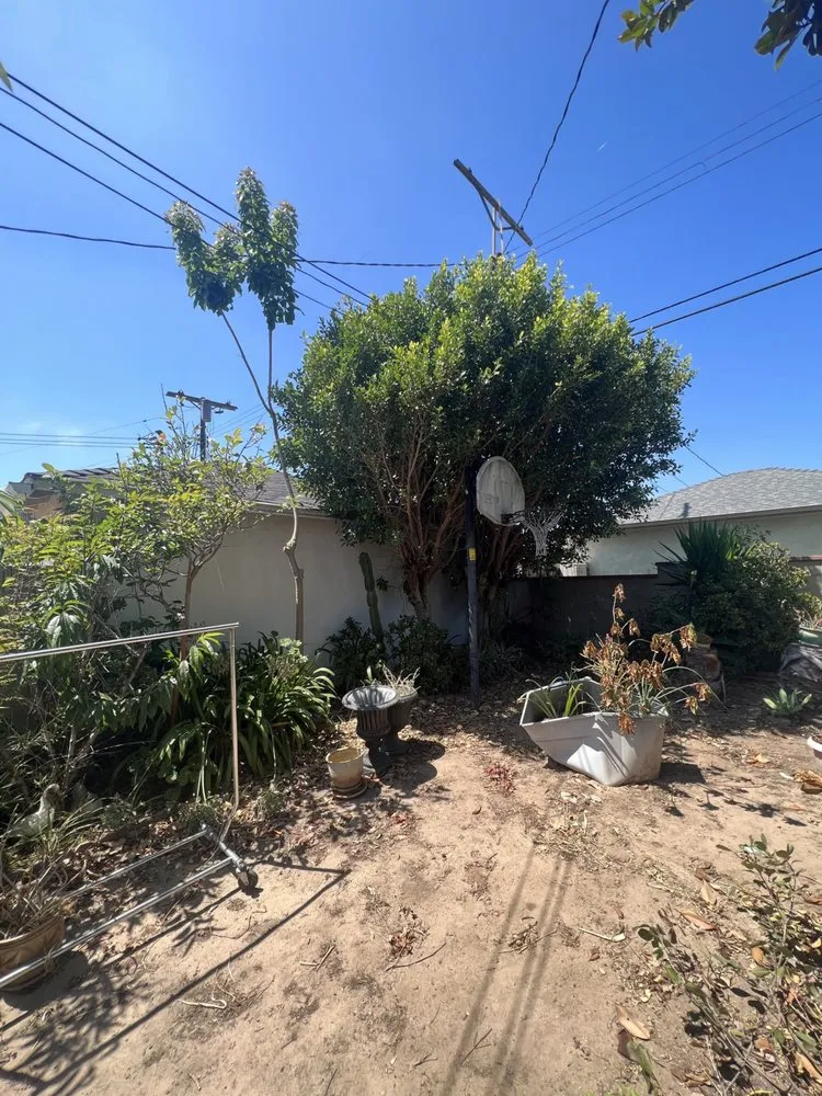 Trusted garden landscaping near you across Inglewood, CA - Green Control Landscape & Tree Service