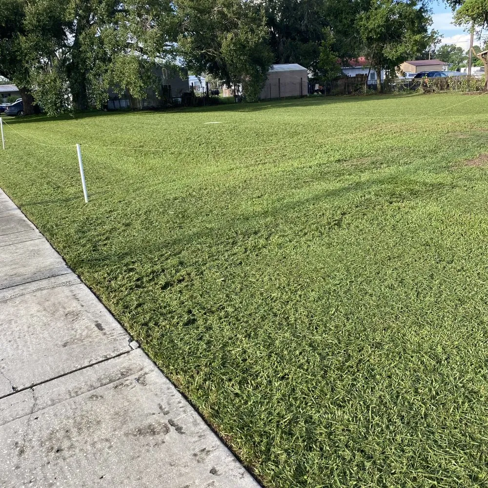 Expert landscaping services near you across Tampa, FL - Green Coqui Lawn Services