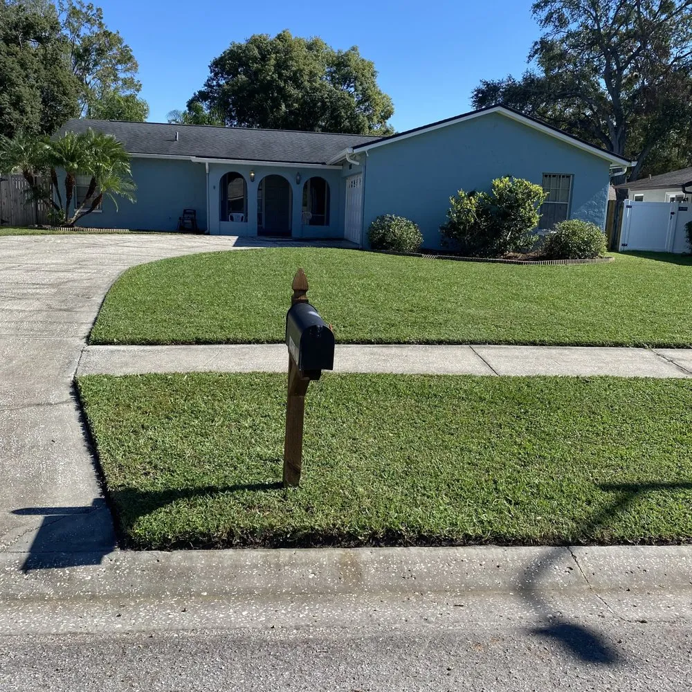 Reliable outdoor landscaping for outdoor upgrades in Tampa, FL by Green Coqui Lawn Services