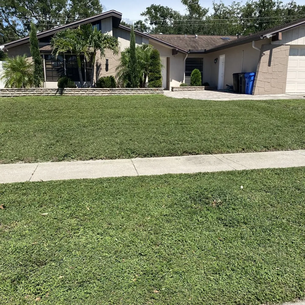 Expert yard maintenance for residential properties across Tampa, FL - Green Coqui Lawn Services