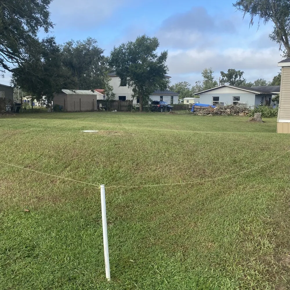 Trusted yard cleanup service for year-round maintenance in Tampa, FL by Green Coqui Lawn Services