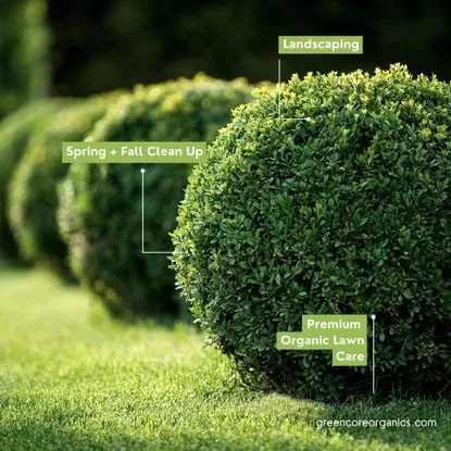 Top-rated landscape design for year-round maintenance across Minnetonka, MN - Green Core Organics