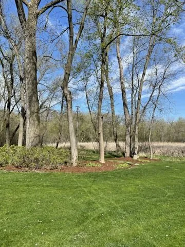 Custom landscape design experts serving Minnetonka, MN - Green Core Organics
