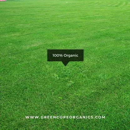 Trusted garden landscaping for year-round maintenance across Minnetonka, MN - Green Core Organics