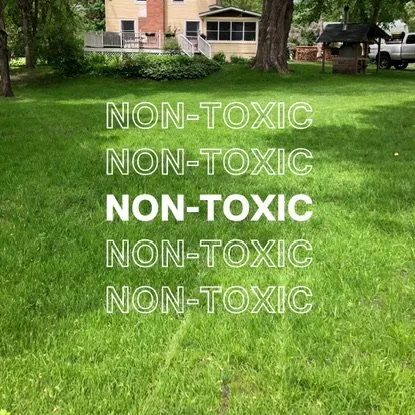 Affordable outdoor landscaping experts serving Minnetonka, MN - Green Core Organics