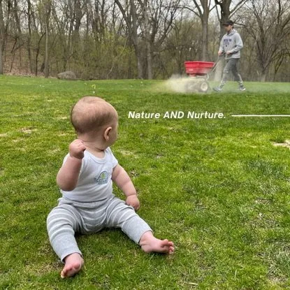 Affordable landscape installation in Minnetonka, MN by Green Core Organics