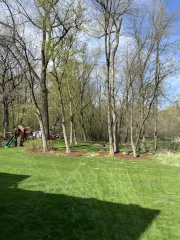 Trusted yard cleanup service experts serving Minnetonka, MN - Green Core Organics