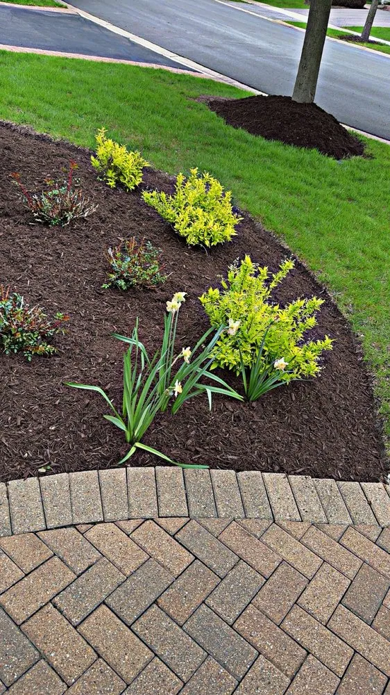 Top-rated lawn care service in Aurora, IL - Green Corner Landscaping