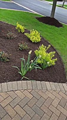 Green Corner Landscaping Logo