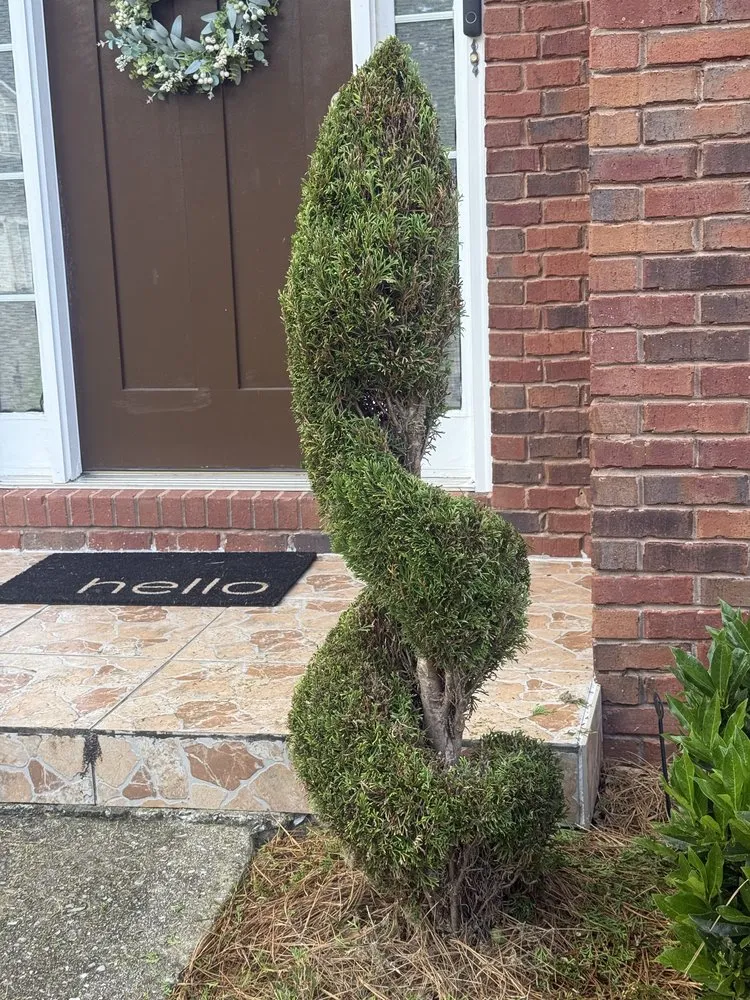 Top-rated yard maintenance in Atlanta, GA - Green Corners Landscaping