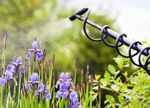 Top-rated yard cleanup service in Edmond, OK by Green Country Weed and Pest