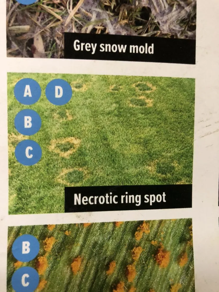 Professional lawn mowing service experts serving Edmond, OK - Green Country Weed and Pest