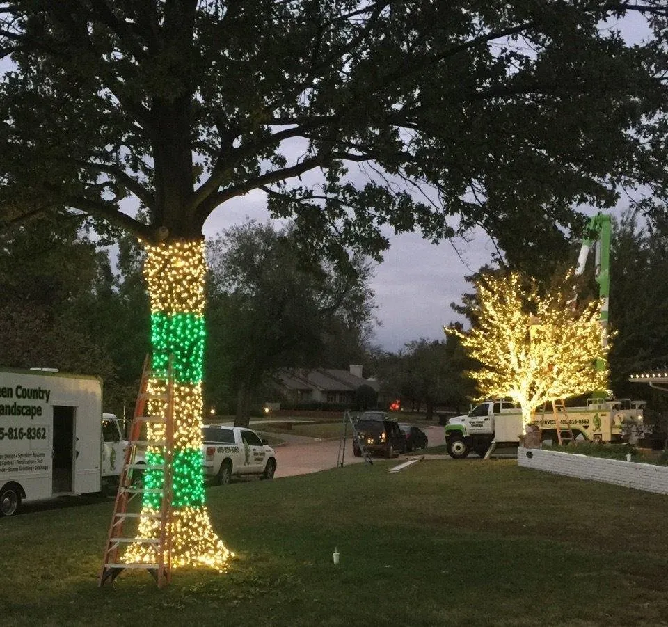 Affordable yard cleanup service for residential properties across Edmond, OK - Green Country Weed and Pest