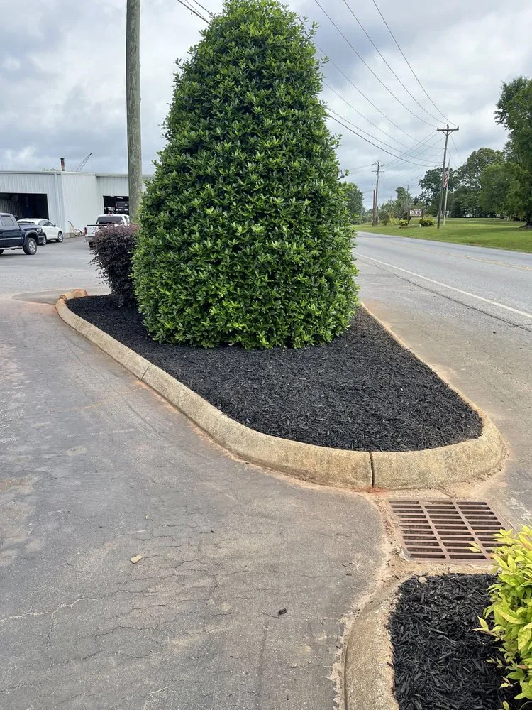 Top-rated landscaping services for residential properties in Rutherfordton, NC by Green Creek Lawn Care