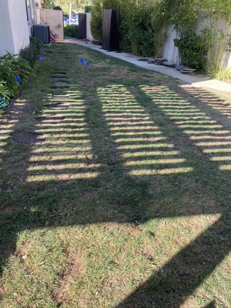 Affordable yard cleanup service in Canoga Park, CA - Green Crest