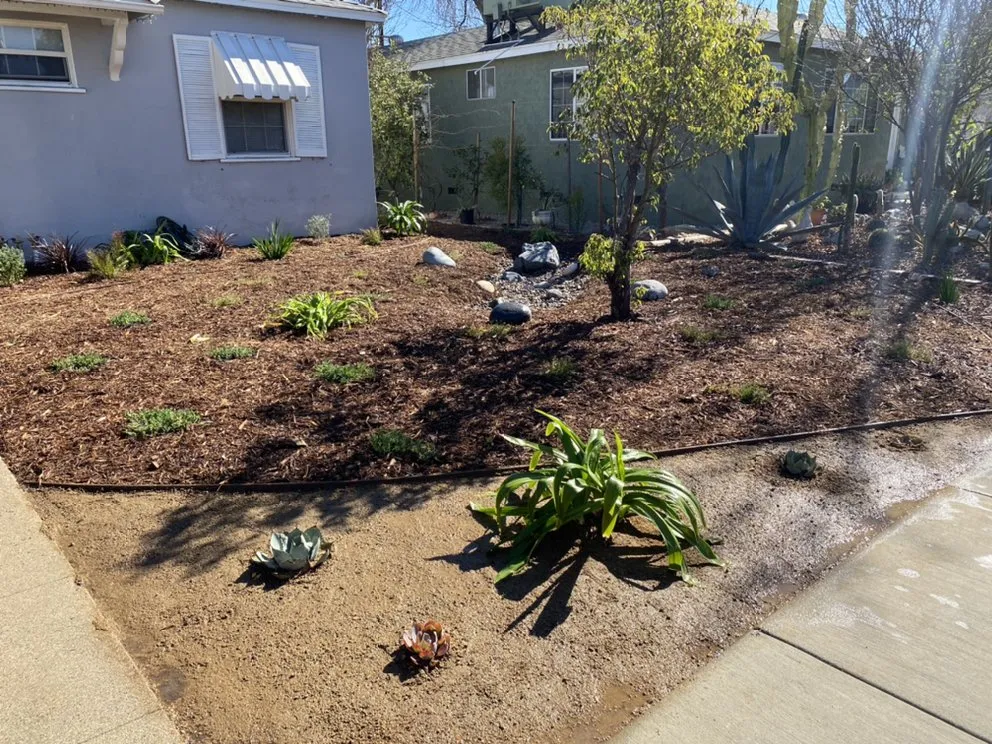 Custom yard maintenance in Canoga Park, CA by Green Crest