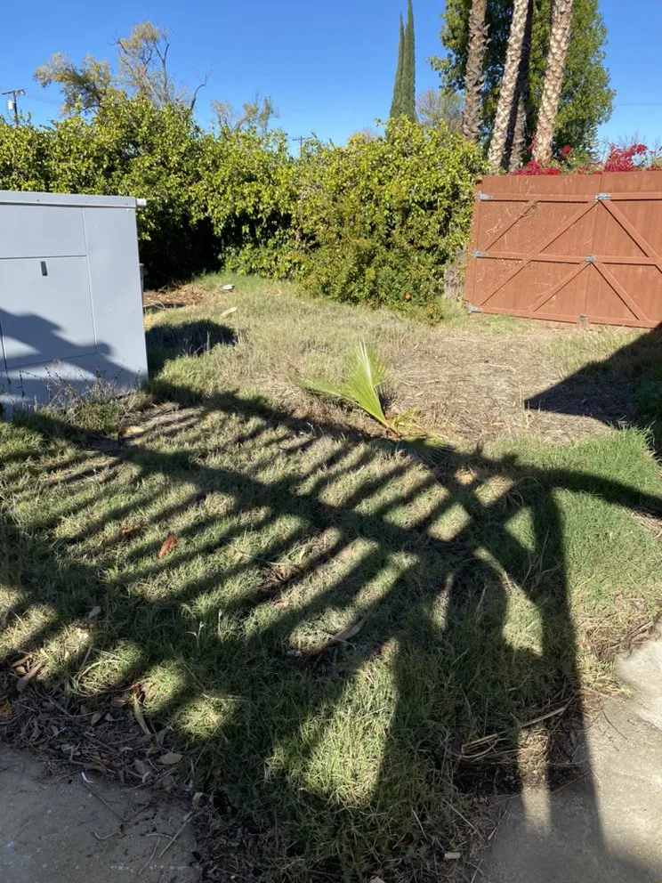 Local yard cleanup service experts serving Canoga Park, CA - Green Crest