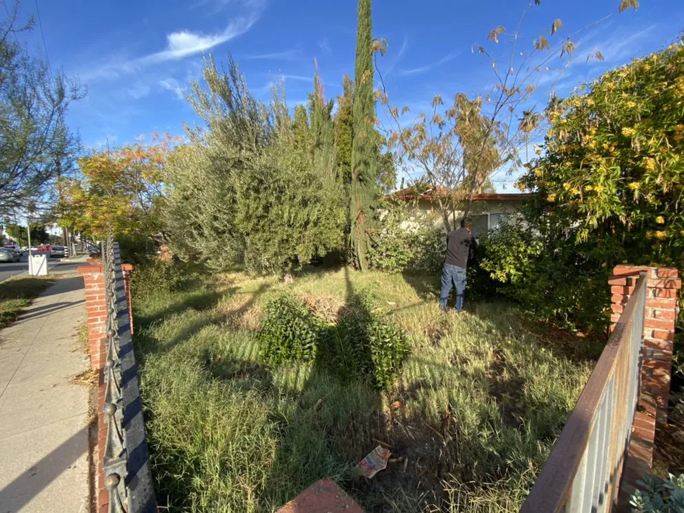 Professional residential landscaping for year-round maintenance in Canoga Park, CA by Green Crest