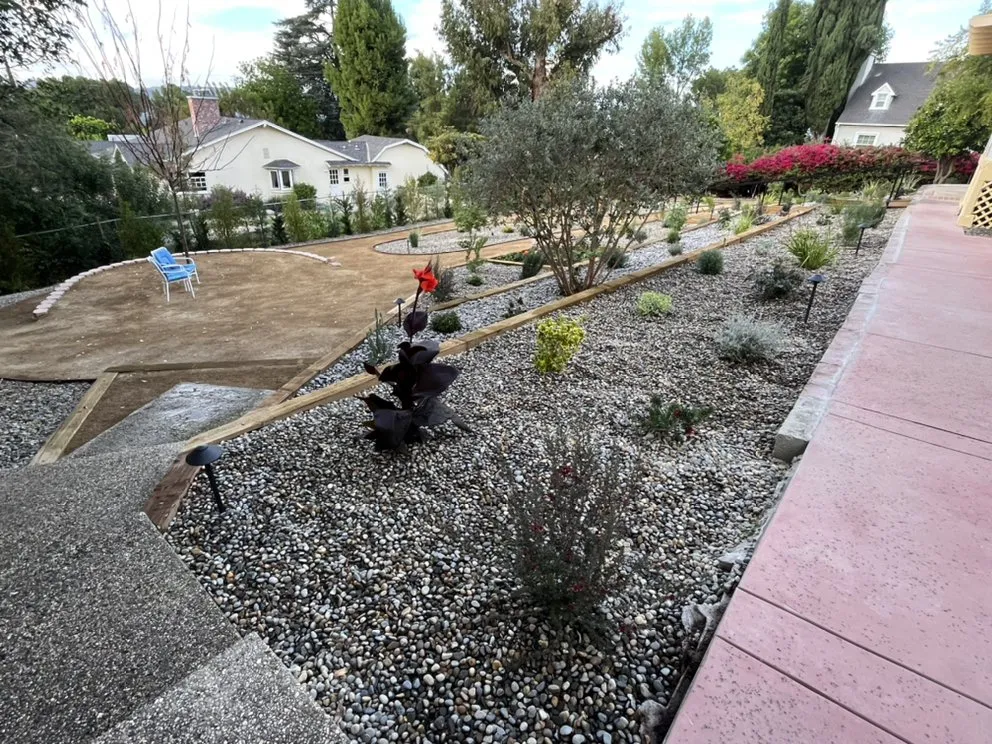 Top-rated yard maintenance in Canoga Park, CA - Green Crest