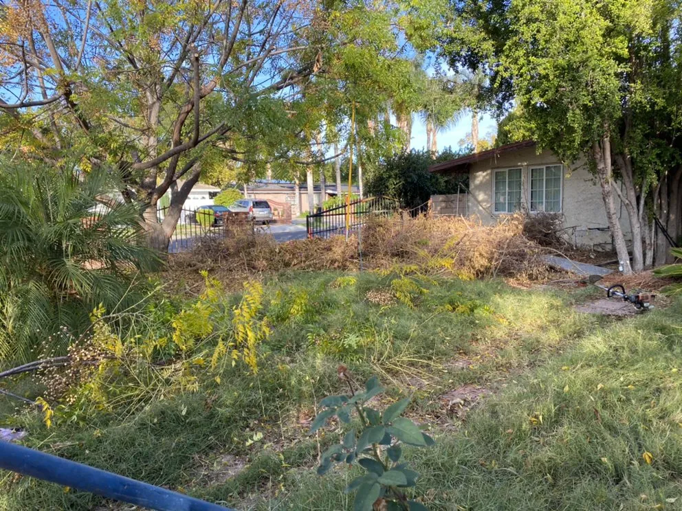 Expert residential landscaping in Canoga Park, CA - Green Crest