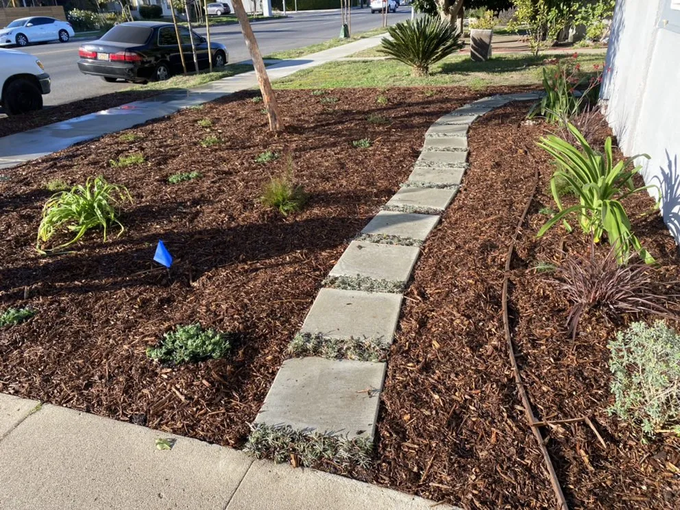Professional residential landscaping in Canoga Park, CA by Green Crest