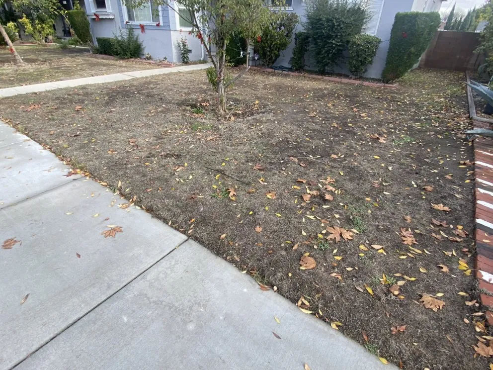 Professional landscape design for beautiful yards in Canoga Park, CA by Green Crest