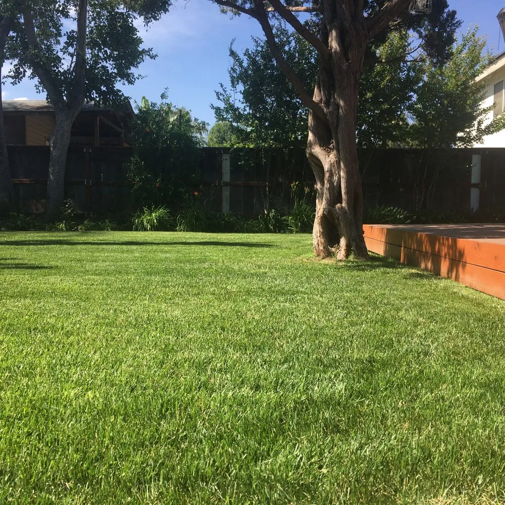 Custom residential landscaping in Canoga Park, CA by Green Crest