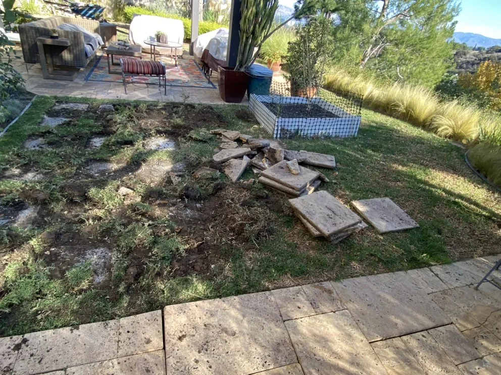 Reliable yard cleanup service in Canoga Park, CA by Green Crest