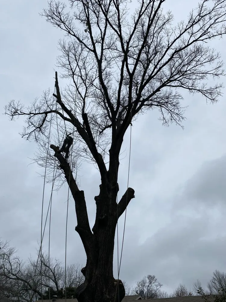 Reliable landscape design in Kaufman, TX by Green Crest Timber
