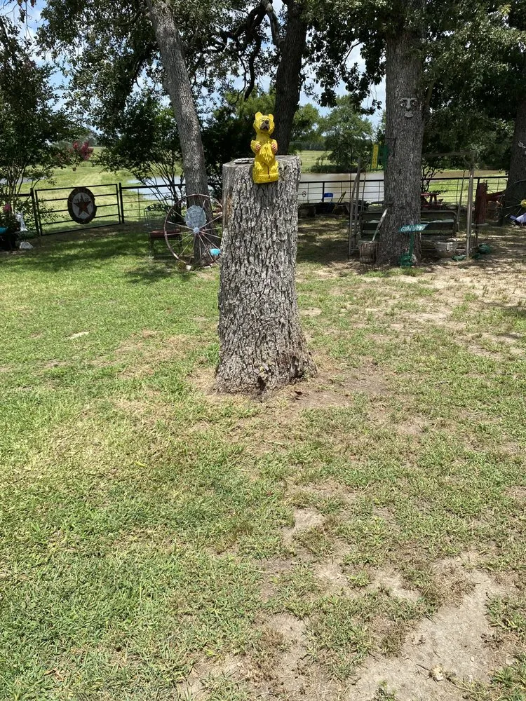 Trusted yard cleanup service in Kaufman, TX by Green Crest Timber