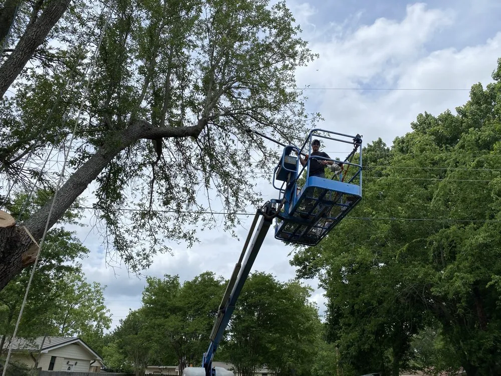 Professional landscape installation for year-round maintenance across Kaufman, TX - Green Crest Timber
