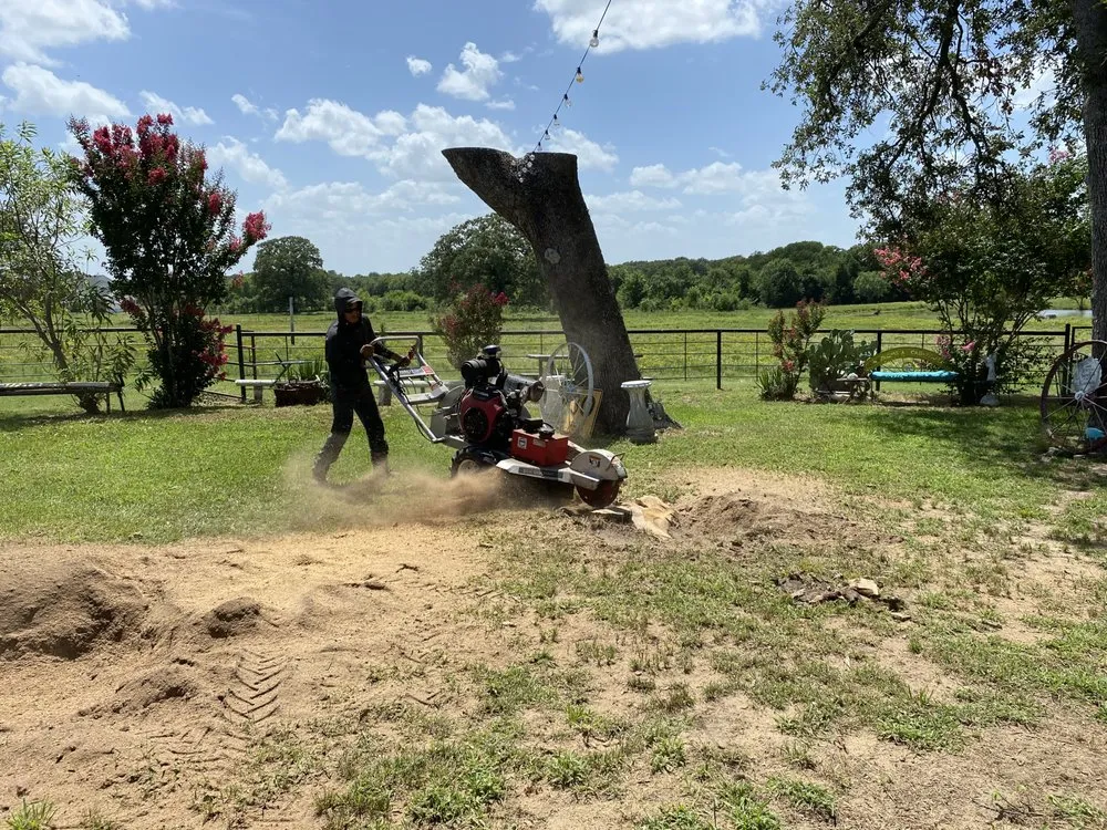 Local yard maintenance in Kaufman, TX - Green Crest Timber