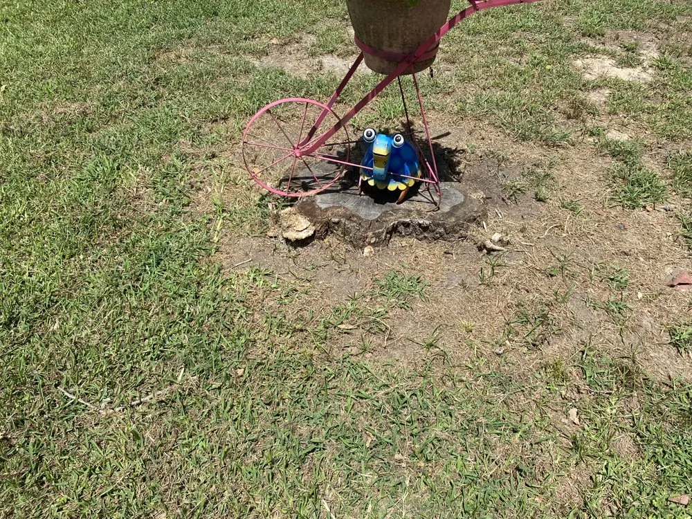 Affordable landscape design for beautiful yards across Kaufman, TX - Green Crest Timber