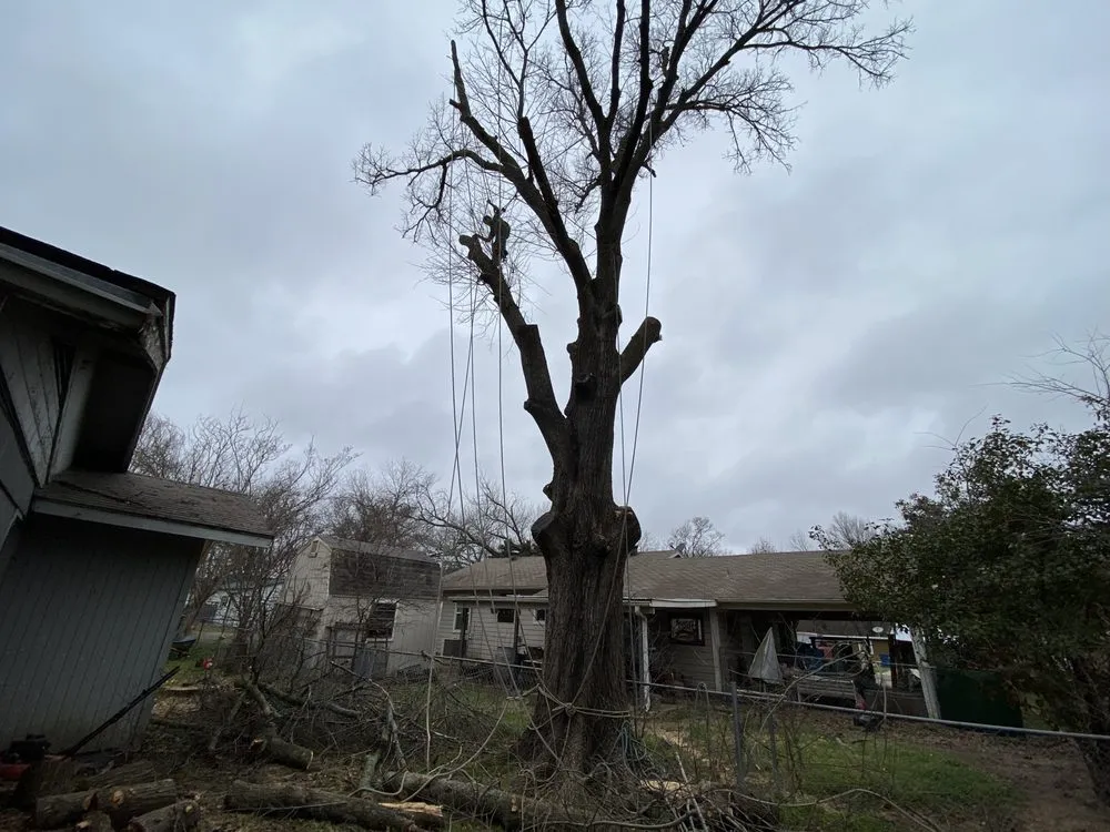 Top-rated lawn care service in Kaufman, TX by Green Crest Timber