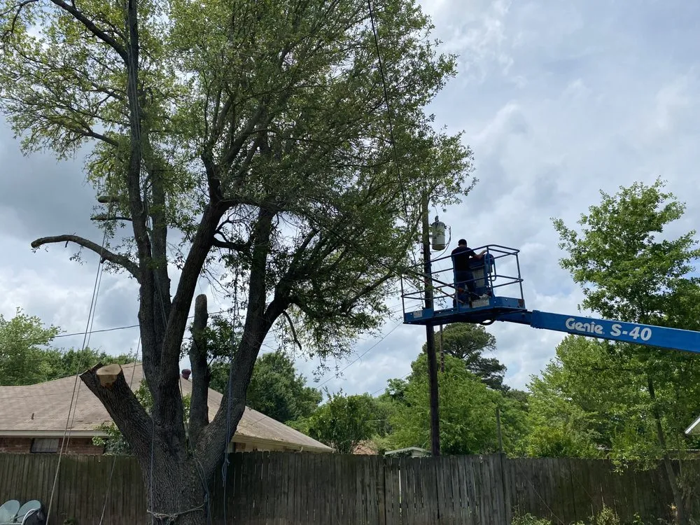 Reliable landscape installation in Kaufman, TX by Green Crest Timber