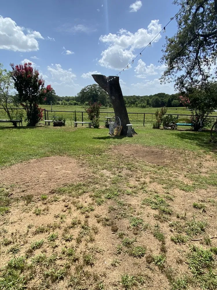 Affordable landscape design in Kaufman, TX - Green Crest Timber