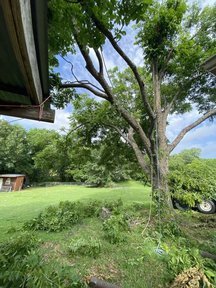 Expert yard maintenance experts serving Kaufman, TX - Green Crest Timber