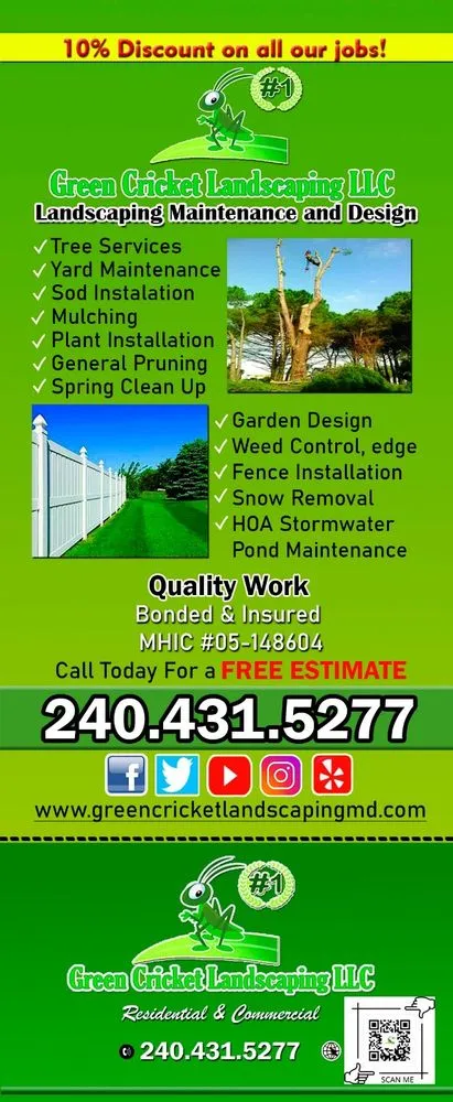 Expert yard maintenance in Lexington Park, MD - Green Cricket Landscaping