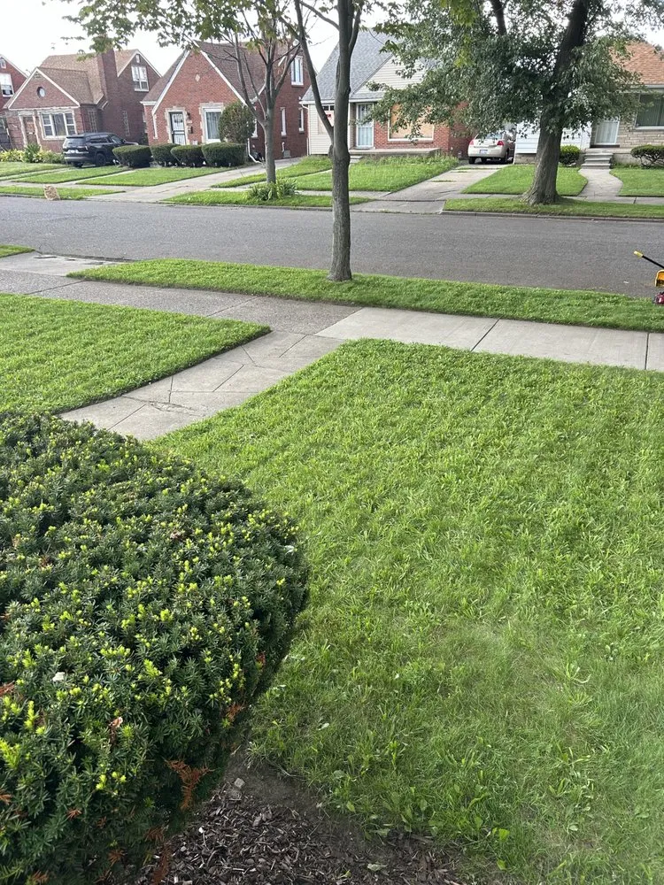 Professional landscaping services experts serving Detroit, MI - Green Cut Home & Lawn